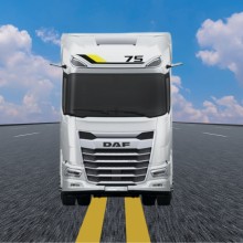 Колодки DAF